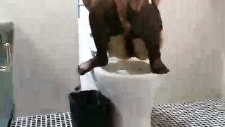 【69堂免费视频】满背纹身气质御姐！近期下海新人！