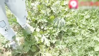 【69堂免费视频】伦理继母篇之淫乱西瓜地_收完西瓜操妈妈_好爽宝贝使劲操妈妈鸡巴好棒太爽了劲射淫臀