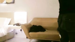 【69堂午夜视频】高端商务模特 我怎么漂亮 干一次就能泄去你的欲火？