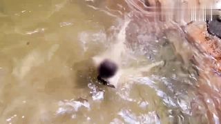 【69堂午夜视频】到瀑布下群交野战，来一场激情的精液SPA