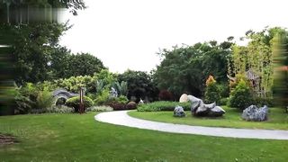 【69堂午夜视频】痴呆儿子的桃花运_傻儿子操了大胸美少女_沈清棠