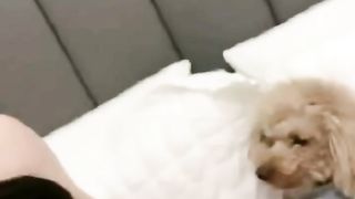 【69堂午夜视频】黑料吃瓜-抖音十八线网红_尤美呀_一对一私密视频流出_露脸骚拍主打一个骚气.mp4