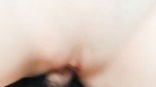 【69堂午夜视频】被调教的母狗婊妹，全程露脸乖巧听话口交大鸡巴，无毛白虎逼，让大哥无套插入，多体位爆草露脸叫的好骚刺激(0)