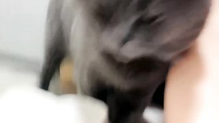 【69堂午夜视频】校花级美女大学生兼职直播赚外快，全程露脸诱惑发骚，听狼友脱光光跳蛋塞逼里抽插，淫水泛滥呻吟可射好骚啊