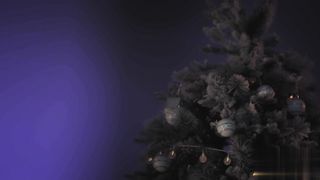 【69堂午夜视频】黎兒是位睡美人她需要一些雞巴