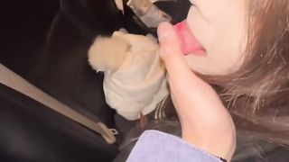 【69堂午夜视频】摩天轮露出轮震全程记录可爱女孩游玩从淄博到环球影城游玩全程记录露脸车震摩天轮震吞精调教露出全程撸点